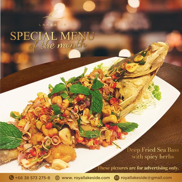 Royal Lakeside Golf Club pasta and SPECIAL MENU of the month Deep Fried Sea Bass with spicy herbs 66 38 573 275 8 www royallakeside com pictures are for advertising hespictufvisng only royallakeside gmail com