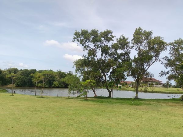 Bangpakong Riverside Country Club lake horizon tree and grass
