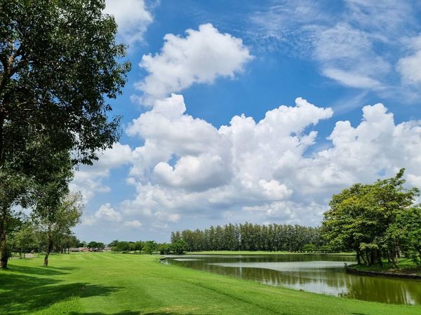The Pine Golf Club แหล่งน้ำ เมฆ สนามกอล์ฟ พื้นหญ้า และ ต้นไม้