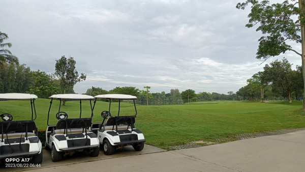 The Pine Golf Club golf golf cart and golf course