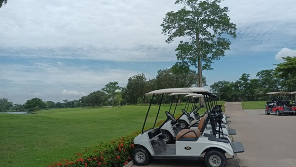 The Pine Golf Club golf golf cart and golf course