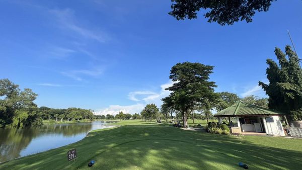 The Royal Golf amp Country Club ทะเลสาบ ต้นไม้ และ พื้นหญ้า