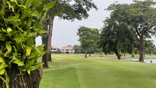 The Royal Golf amp Country Club golf golf cart golf course tree and grass