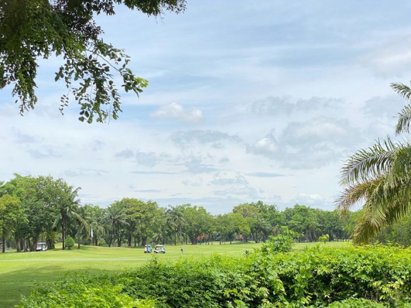 สนามกอล์ฟไดนาสตี้ แอนด์ คันทรีคลับ Dynasty Golf amp Country Club tree golf course and grass