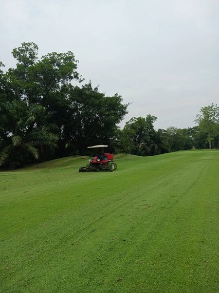 The Pine Golf Club golf cart grass and golf course