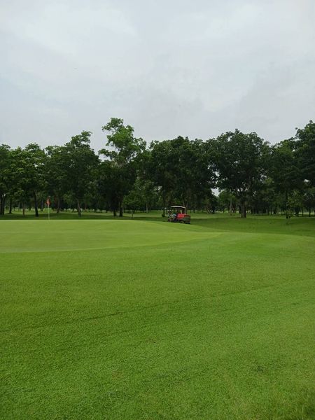 The Pine Golf Club golf golf cart golf course and grass-2