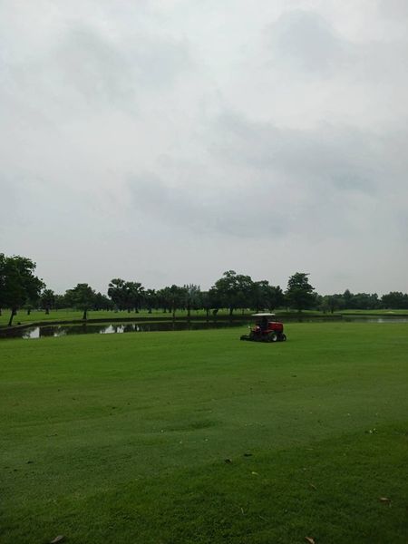 The Pine Golf Club golf golf cart golf course and grass