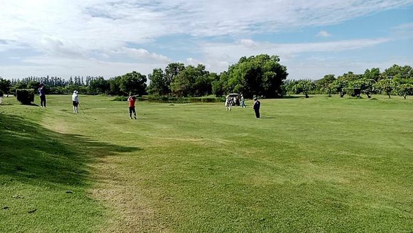 สนามกอล์ฟ 331 Golf Club 6 people people golfing frisbee golf course tree and grass