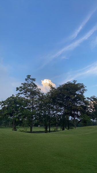 The Pine Golf Club tree cloud grass and twilight