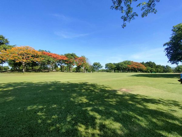 Uniland Golf amp Resort Thailand golf grass golf course and tree