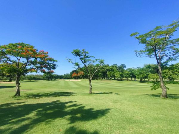 Uniland Golf amp Resort Thailand tree grass and golf course