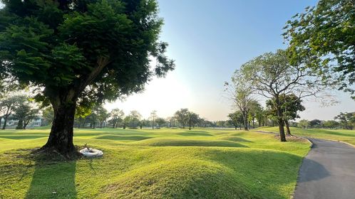 The Royal Golf amp Country Club nbsp golf golf cart golf course fog and grass