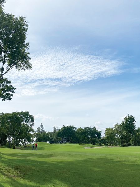 Alpine Golf Club nbsp 3 people people golfing and golf course