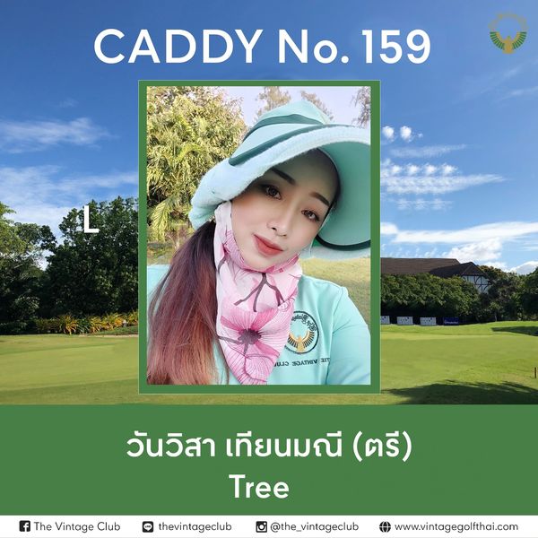 The Vintage Club nbsp 1 person and CADDYNo 159 No CADDY GOATHIV วันวิสา เทียนมณี ตรี Tree The Vintage Club thevintageclub the vintageclub www vintagegolfthai com