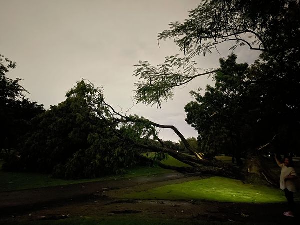 Krungthep Kreetha nbsp 1 person golf course lightning and tree