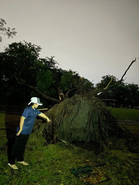 Krungthep Kreetha nbsp 1 person tree and grass