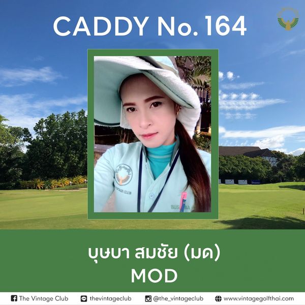 The Vintage Club nbsp 1 person golfing and CADDY No 164 J VINTACIE CLUB L บุษบา สมชัย มด MOD The Vintage Club thevintageclub the vintageclub www vintagegolfthai com