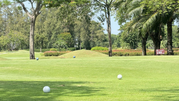 The Royal Golf amp Country Club nbsp กอล์ฟ รถกอล์ฟ พื้นหญ้า และ สนามกอล์ฟ