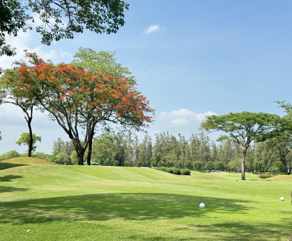 The Royal Golf amp Country Club nbsp กอล์ฟ และ สนามกอล์ฟ