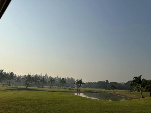 สนามกอล์ฟหริภุญชัย กอล์ฟคลับ golf twilight fog grass golf course tree and horizon