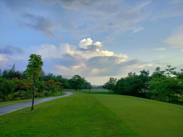 สนามกอล์ฟหริภุญชัย กอล์ฟคลับ horizon cloud grass golf course tree and twilight