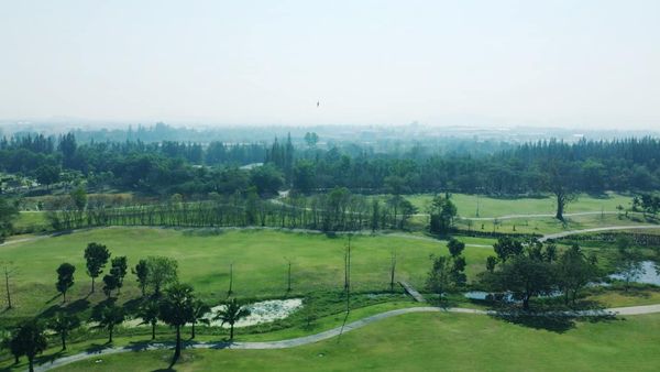 สนามกอล์ฟหริภุญชัย กอล์ฟคลับ golf fog golf course and grass