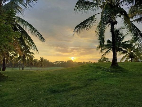 สนามกอล์ฟหริภุญชัย กอล์ฟคลับ grass tree twilight horizon cloud golf course and nature