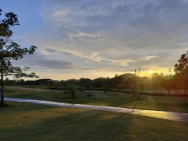 สนามกอล์ฟหริภุญชัย กอล์ฟคลับ tree twilight golf course horizon cloud and grass