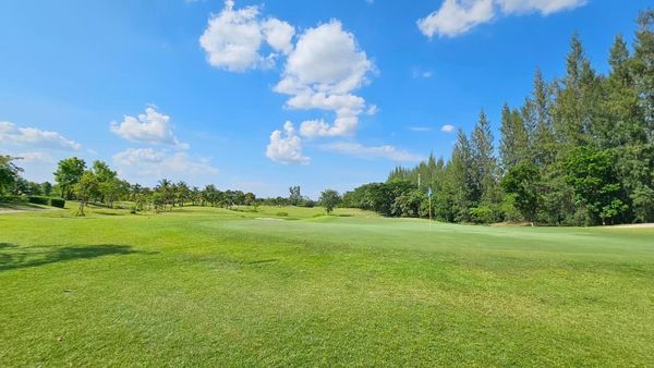 สนามกอล์ฟหริภุญชัย กอล์ฟคลับ golf golf cart grass and golf course