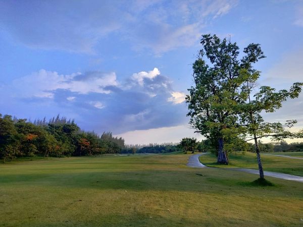 สนามกอล์ฟหริภุญชัย กอล์ฟคลับ golf golf cart golf course grass nature twilight and tree