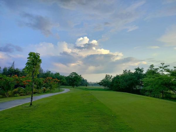 สนามกอล์ฟหริภุญชัย กอล์ฟคลับ tree twilight golf course grass horizon and cloud