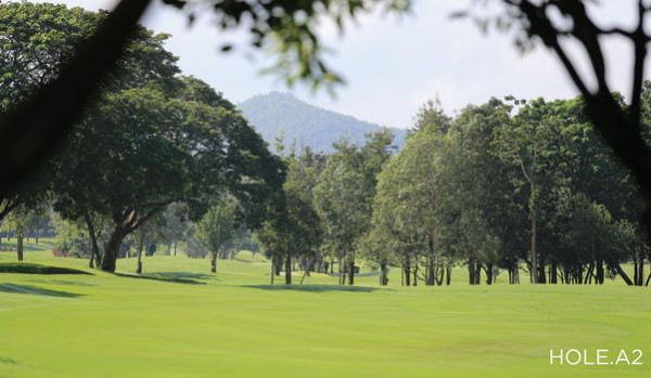 Alpinegolfresort Chiangmai golf golf course grass and HOLE A2