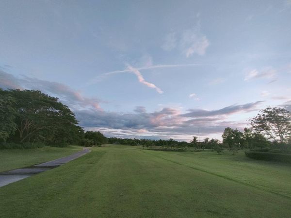 สนามกอล์ฟหริภุญชัย กอล์ฟคลับ horizon twilight cloud grass golf course fog and tree