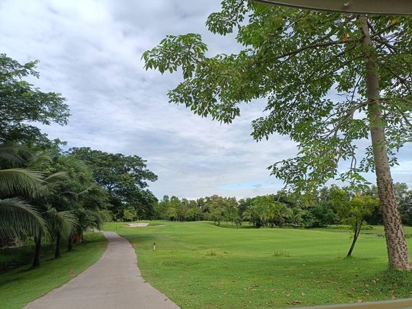 สนามกอล์ฟหริภุญชัย กอล์ฟคลับ golf golf cart grass tree and golf course
