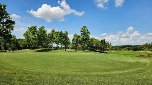 สนามกอล์ฟหริภุญชัย กอล์ฟคลับ nbsp golf golf cart and golf course