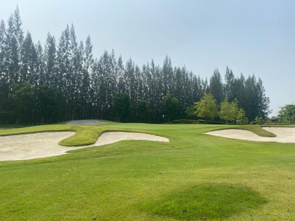 golf course grass and nature