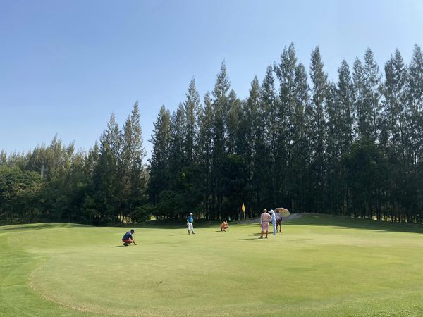 สนามกอล์ฟหริภุญชัย กอล์ฟคลับ 6 people people standing and grass สนามกอล์ฟหริภุญชัย กอล์ฟคลับ 6 people people standing and grass