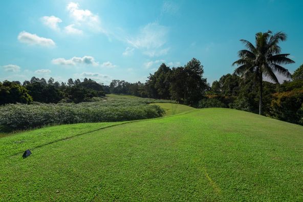 Mae Jo Golf Club And Resort tree nature and grass
