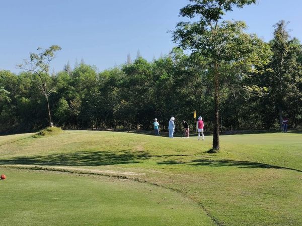 สนามกอล์ฟหริภุญชัย กอล์ฟคลับ 4 people tree golf course and grass