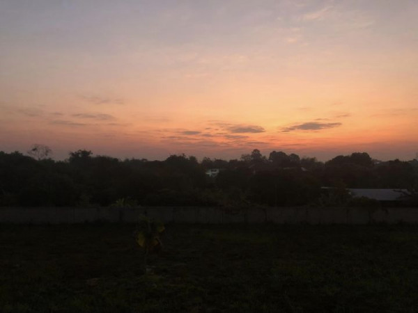 Lanna Golf Club cloud twilight and tree