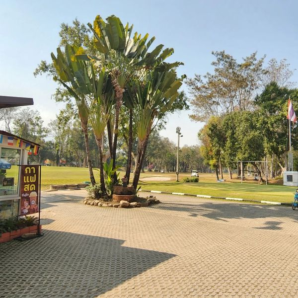Lanna Golf Club 1 person tree outdoors and กา แฟ สด Coffee