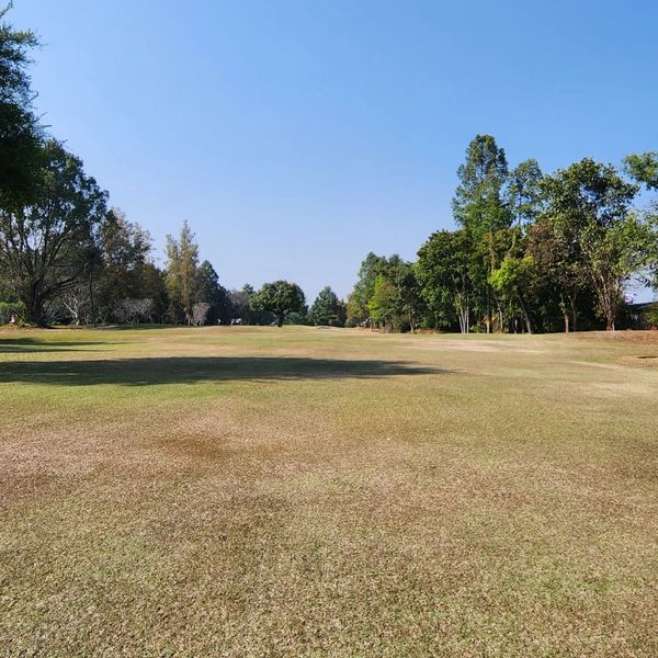 Lanna Golf Club golf course tree grass and nature