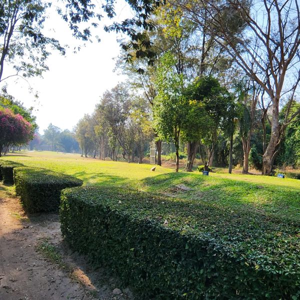 Lanna Golf Club nature tree and grass