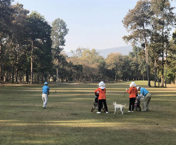 Lanna Golf Club 4 people people standing and grass-5