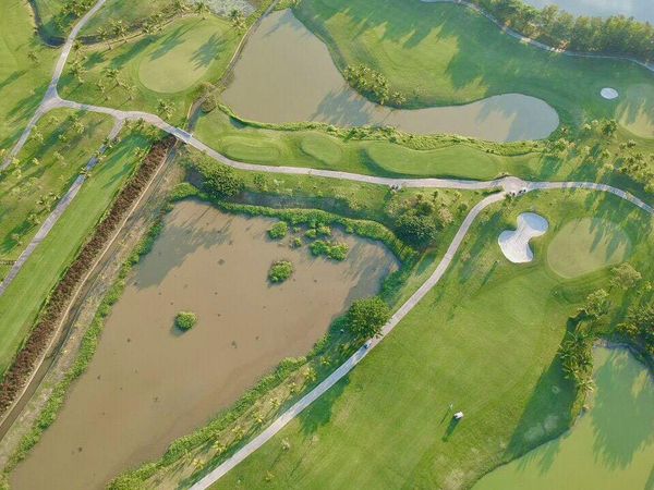 สนามกอล์ฟหริภุญชัย กอล์ฟคลับ golf course