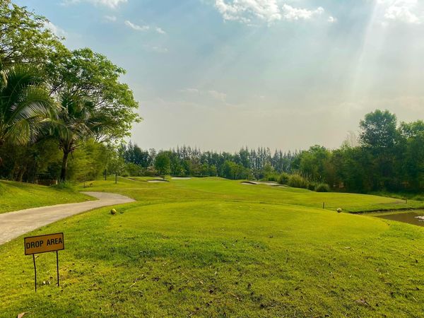 สนามกอล์ฟหริภุญชัย กอล์ฟคลับ golf course nature and grass