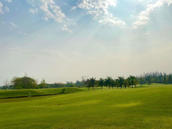 สนามกอล์ฟหริภุญชัย กอล์ฟคลับ grass nature sky and golf course