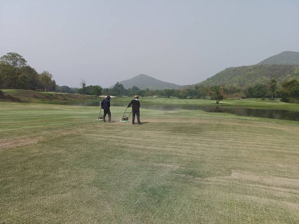Alpinegolfresort Chiangmai 2 คน ผู้คนกำลังตีกอล์ฟ พื้นหญ้า และ สนามกอล์ฟ