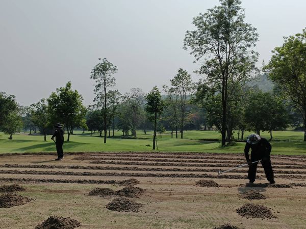 Alpinegolfresort Chiangmai 2 คน ผู้คนกำลังตีกอล์ฟ และ พื้นหญ้า