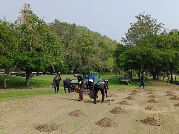 Alpinegolfresort Chiangmai 7 คน และ พื้นหญ้า